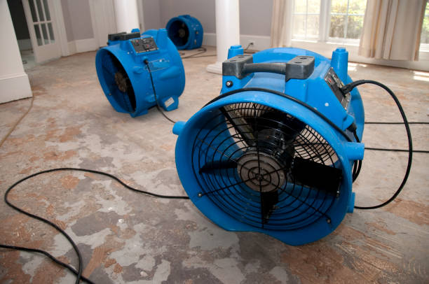 Best Ceiling water damage repair  in Barry, IL