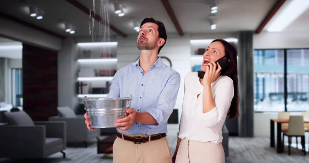 Best Carpet water damage restoration  in Barry, IL
