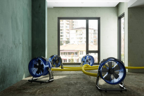 Best 24-hour water damage restoration  in Barry, IL
