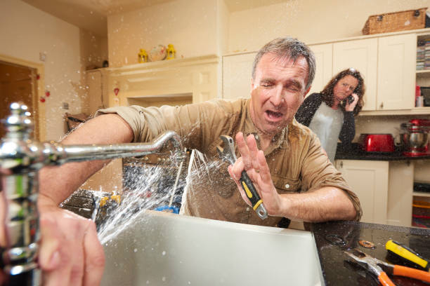 Best Flood restoration services  in Barry, IL